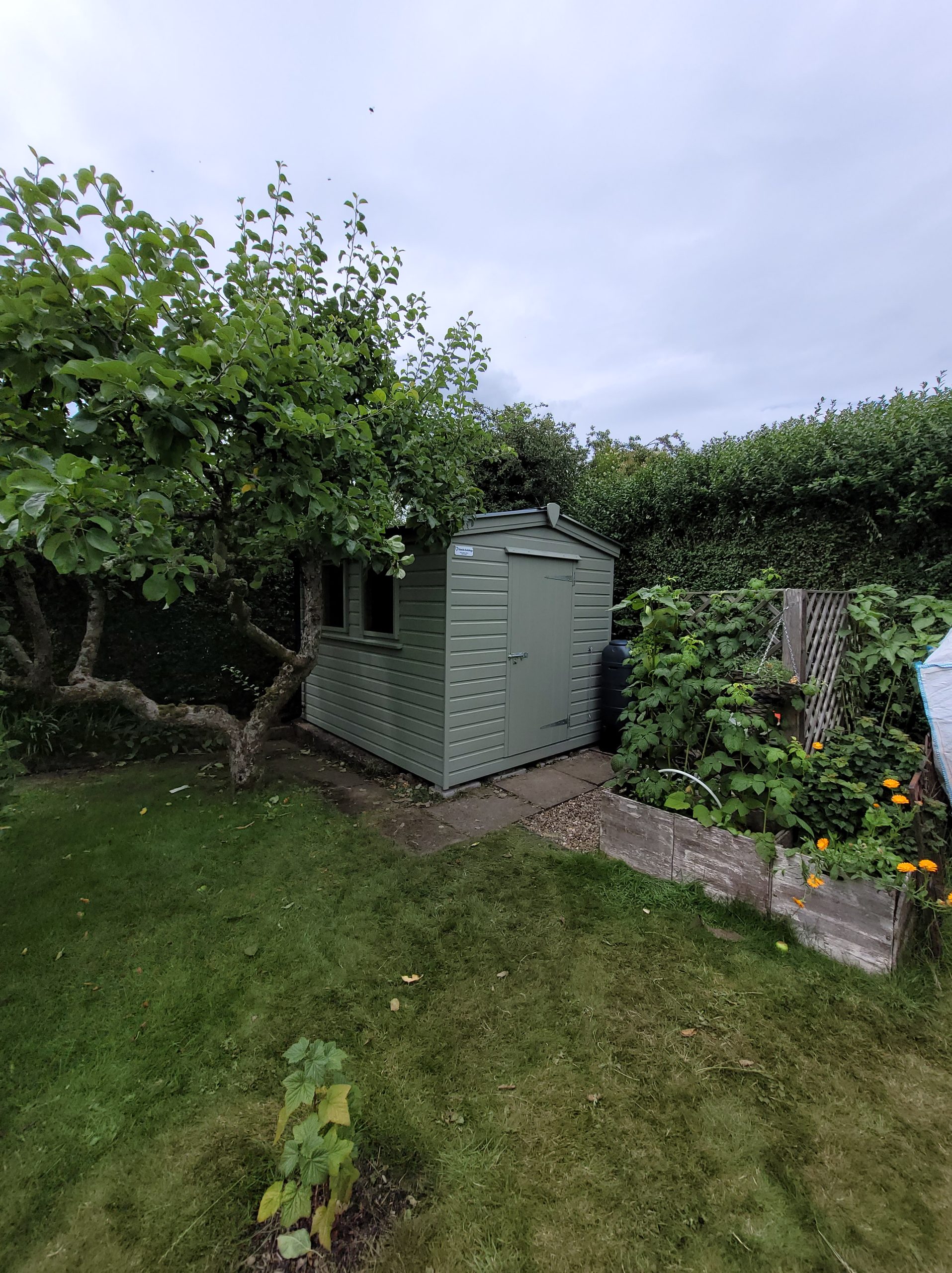 Small apex painted garden shed