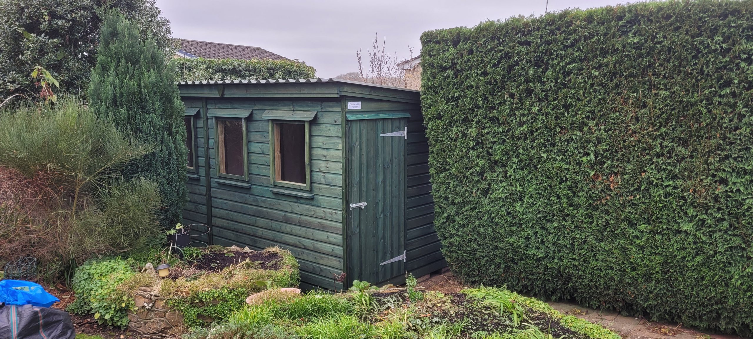Green painted shed in Devon